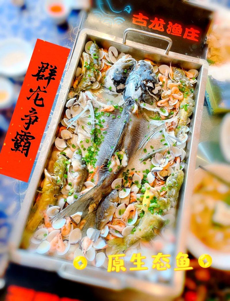 清遠古龍魚莊價格