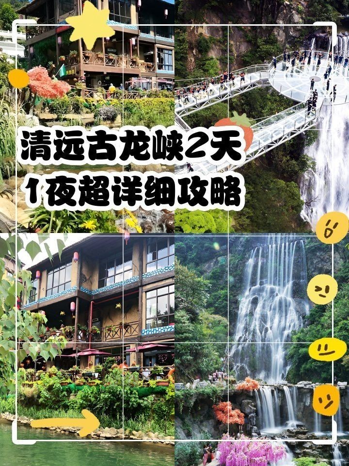 清遠古龍魚莊價格