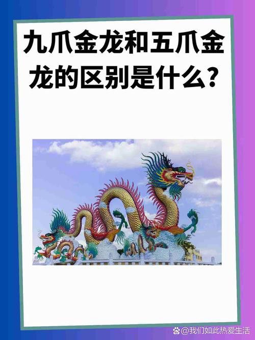 古典金龍與現代改良金龍的區別