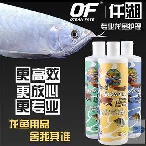 金龍魚蒙眼用青霉素用多少呢：金龍魚蒙眼病的使用青霉素治療龍魚蒙眼病用量多少