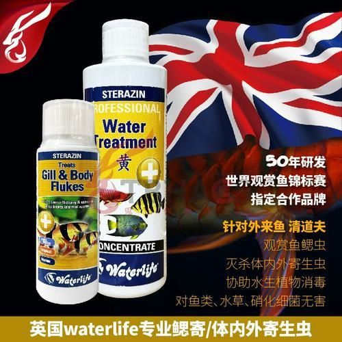 龍魚鰓病癥狀圖片 龍魚百科 第10張 龍魚鰓病癥狀圖片 龍魚鰓病癥狀圖片 龍魚百科 第10張