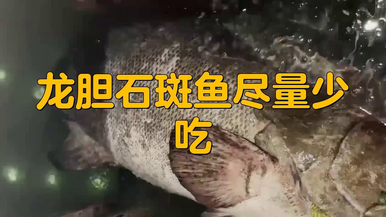 為什么不建議吃石斑魚