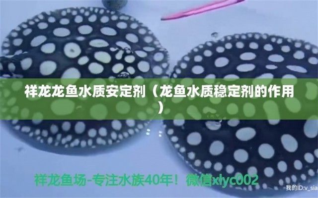 龍魚水質(zhì)穩(wěn)定劑的作用