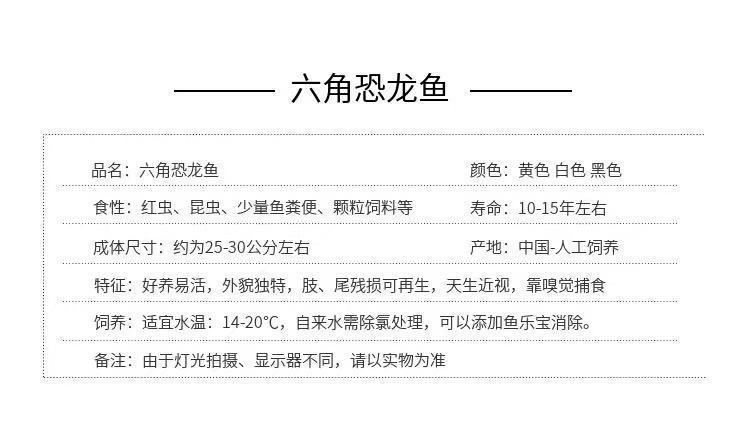 六角恐龍魚大概多少錢