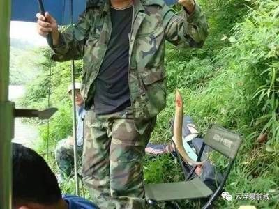 在廣東,養(yǎng)龍魚一般什么時侯需要加溫（在廣東地區(qū)養(yǎng)殖龍魚時，一般不需要加溫）