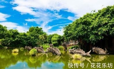 在廣東,養(yǎng)龍魚一般什么時侯需要加溫（在廣東地區(qū)養(yǎng)殖龍魚時，一般不需要加溫）
