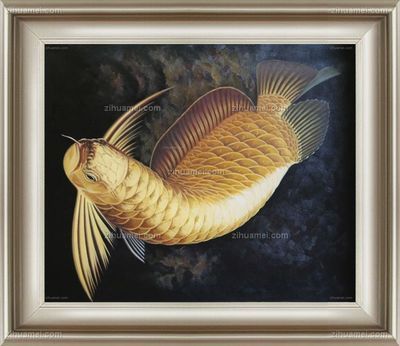 龍魚畫適合掛哪里（龍魚畫適合掛在什么位置）