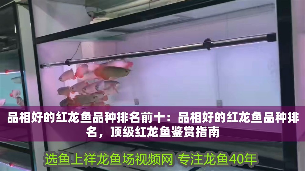 品相好的紅龍魚品種排名前十：品相好的紅龍魚品種排名，頂級紅龍魚鑒賞指南