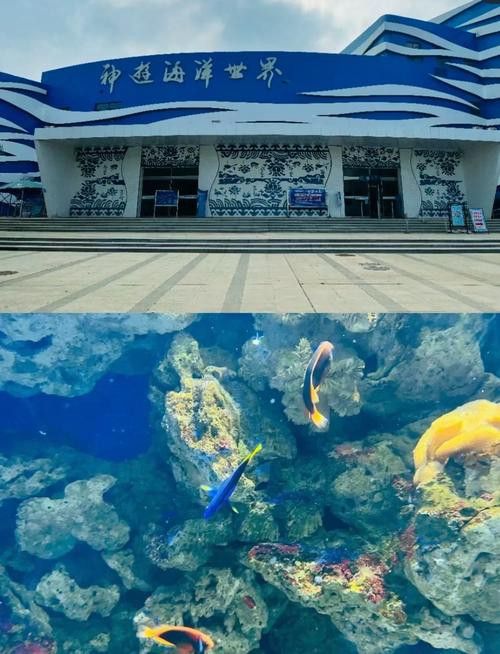 威海龍魚坊水族館怎么樣