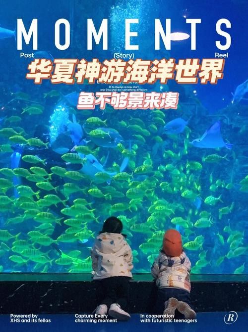 威海龍魚坊水族館怎么樣