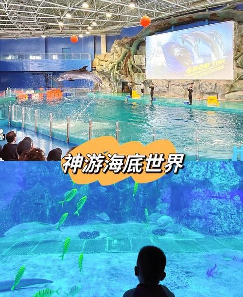威海龍魚坊水族館怎么樣