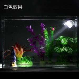 金龍魚魚缸造景教程圖：關于金龍魚魚缸造景的一些建議