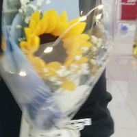 龍魚(yú)爛鰓最忌三種東西