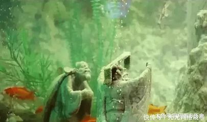 東海龍宮魚缸價格多少：東海龍宮魚缸價格遠高于普通魚缸，水族箱的藝術價值
