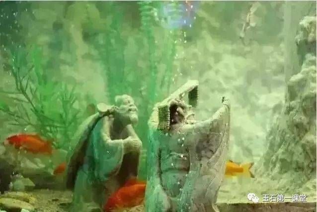 東海龍宮魚缸價格多少：東海龍宮魚缸價格遠高于普通魚缸，水族箱的藝術價值