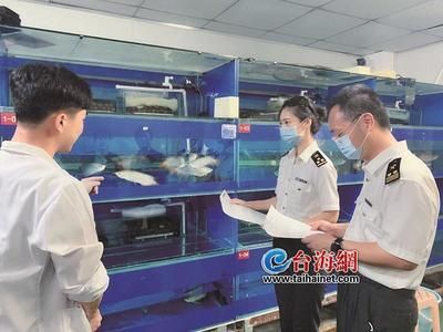 金龍魚用檢疫嗎？：金龍魚在進口時需要進行檢疫