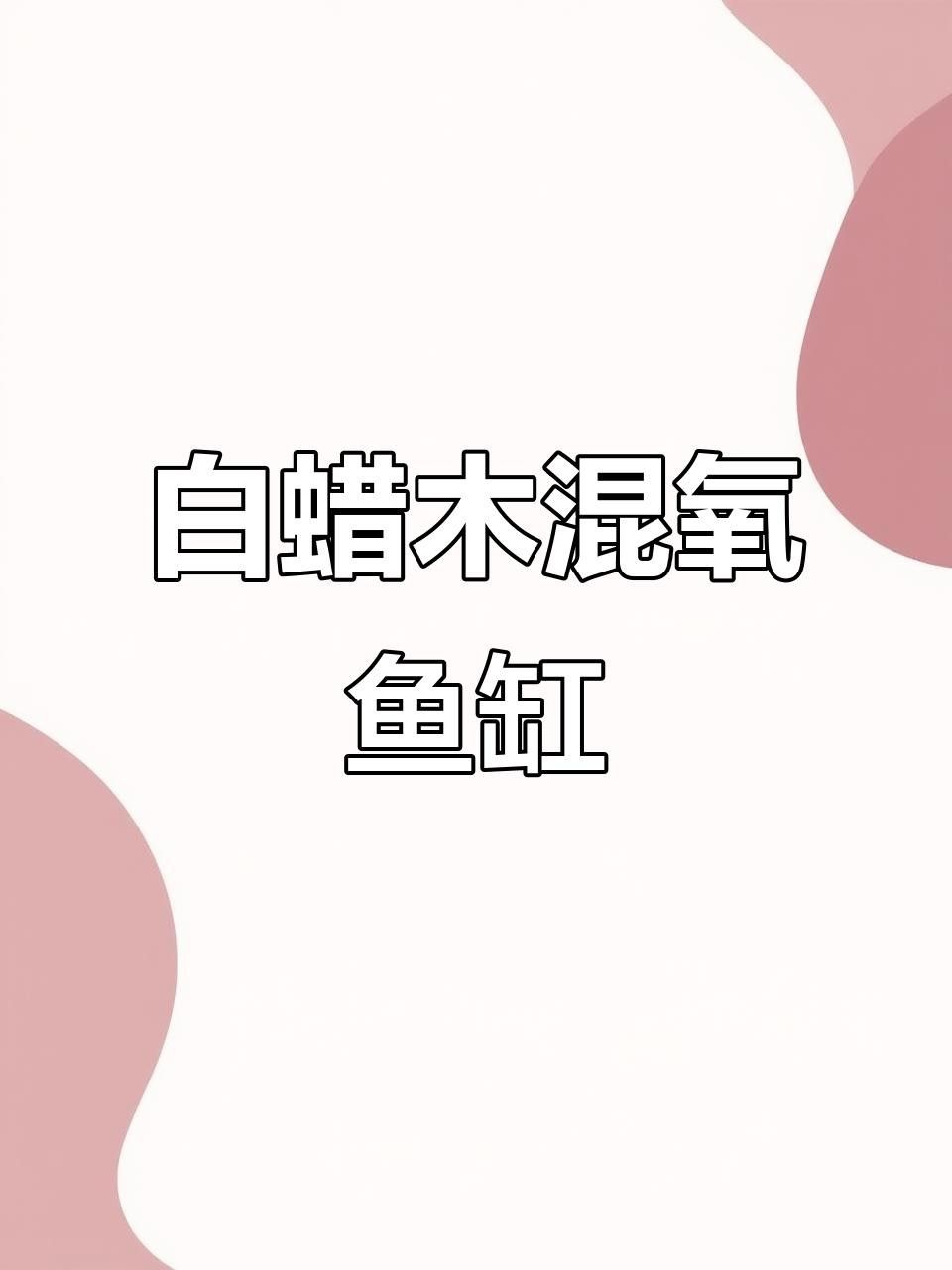 龍魚(yú)缸的材質(zhì)有哪些選擇？