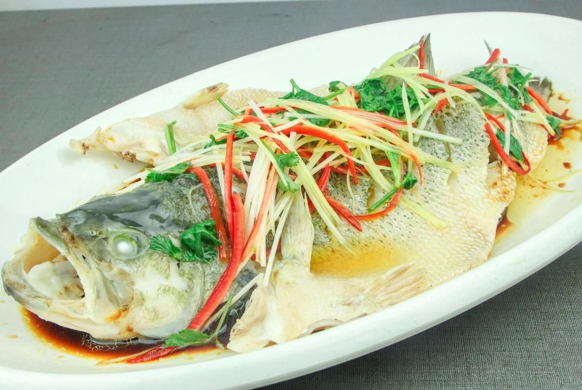 鱸魚圖片