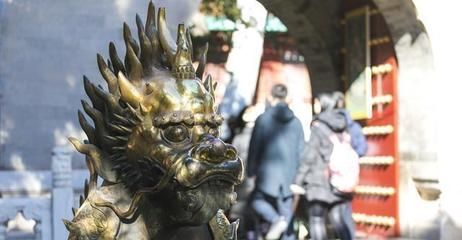 黃吉金龍（白子金龍魚）：紅眼白子黃金過(guò)背金龍