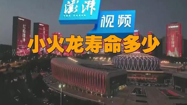 小火龍蠑螈的壽命有多長