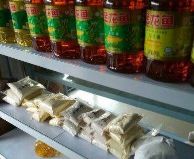 錦州龍魚專賣店：錦州龍魚專賣店位置