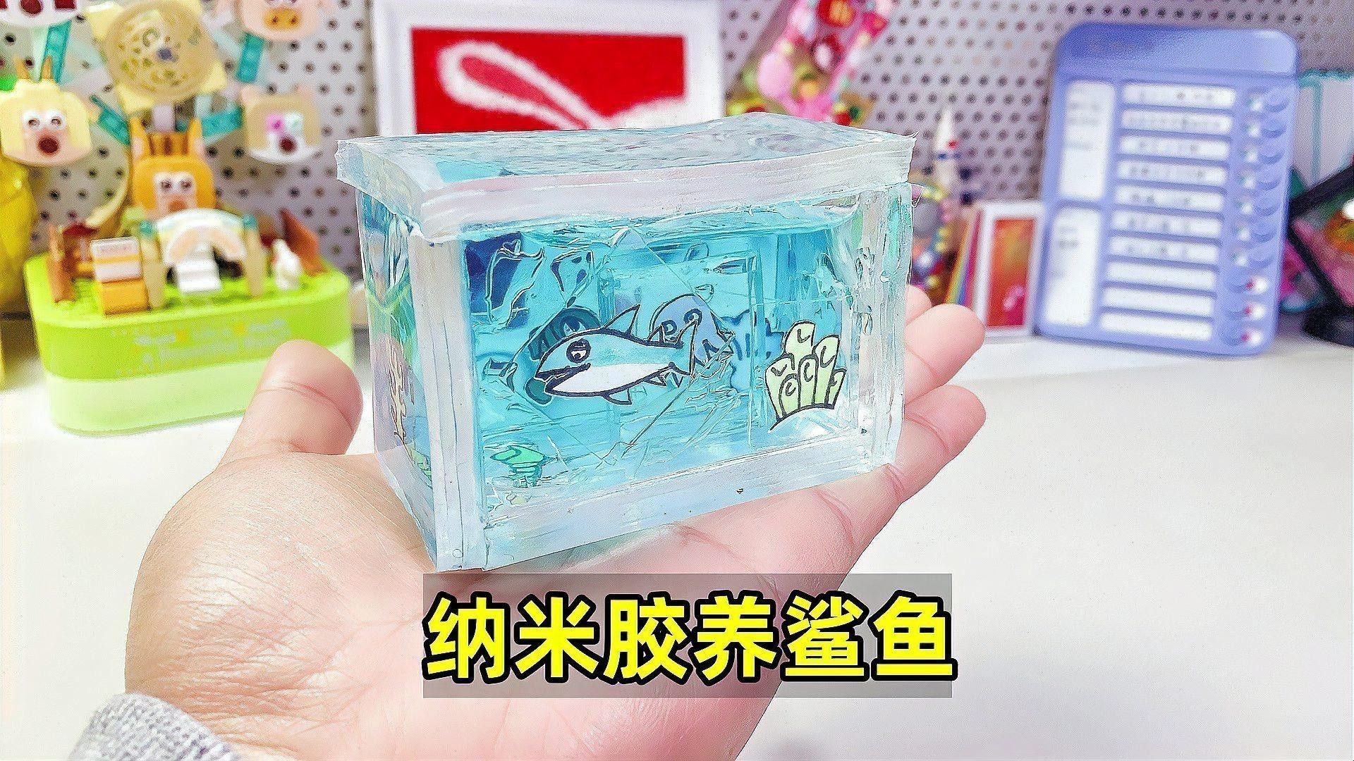 繁殖缸中需要放置哪些裝飾物？