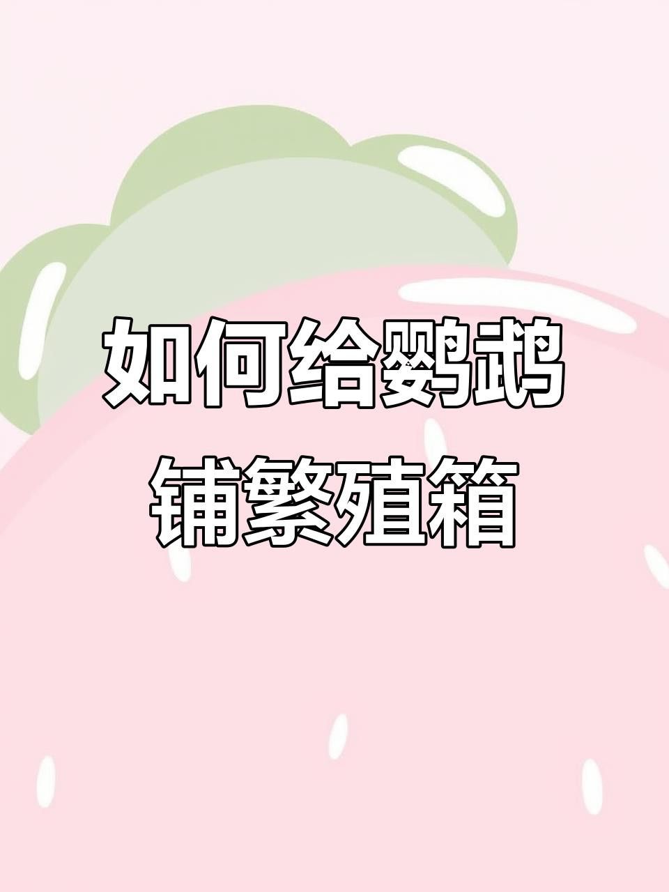 繁殖缸中需要放置哪些裝飾物？