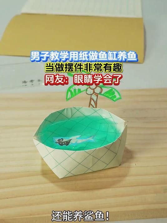 繁殖缸中需要放置哪些裝飾物？