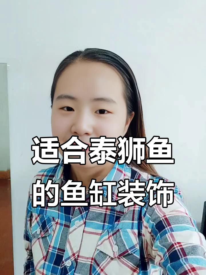 繁殖缸中需要放置哪些裝飾物？