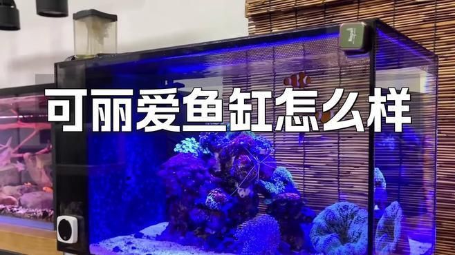 可麗愛魚缸質(zhì)量怎么樣