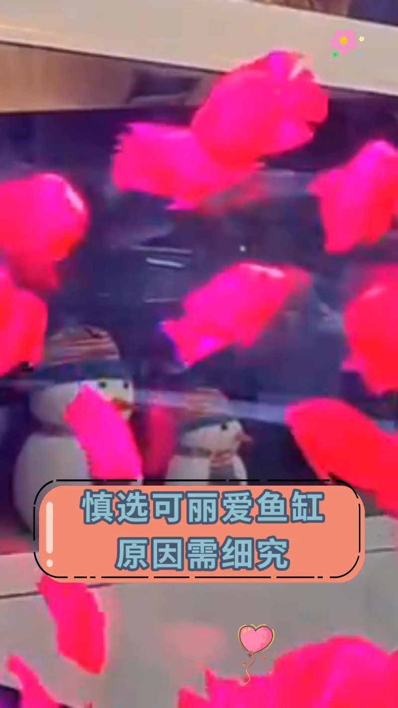 可麗愛魚缸質(zhì)量怎么樣