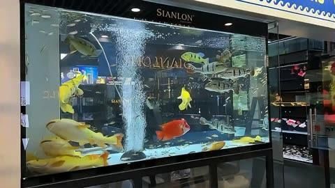 可麗愛魚缸質(zhì)量怎么樣