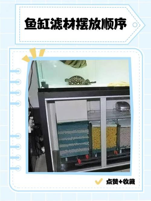 龍魚缸濾材放什么最好養魚 龍魚缸濾材放什么最好養魚 龍魚百科 第4張