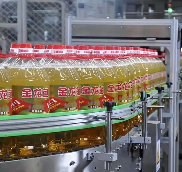 金龍魚發(fā)展歷程簡(jiǎn)述
