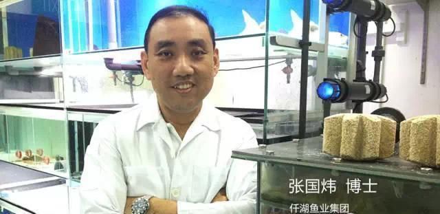 龍魚缸配置要求：龍魚缸照明系統選購指南龍魚缸材質優缺點對比