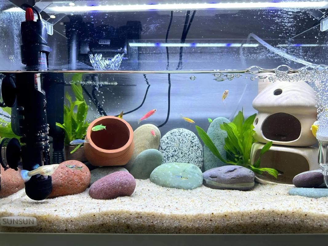 匯龍魚缸配件價格查詢