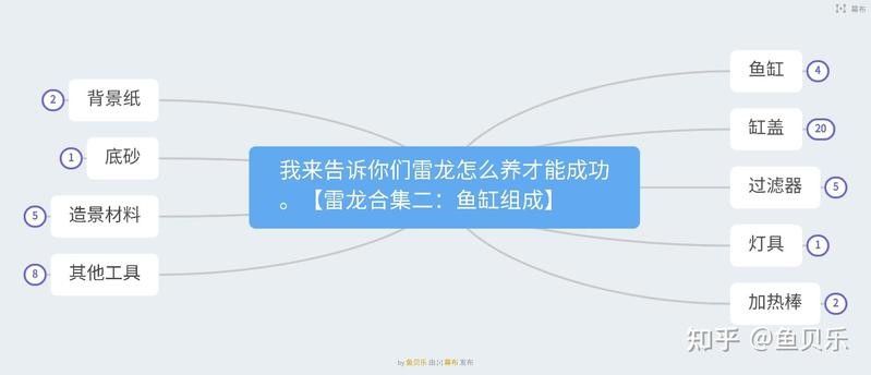 雷龍魚需要多大的過濾系統？