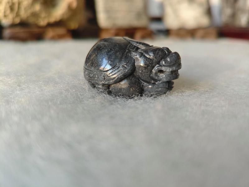 有哪些文化類網站有龍龜圖集？