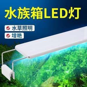 紅龍魚燈什么牌子好用點（關于紅龍魚燈的品牌選擇）