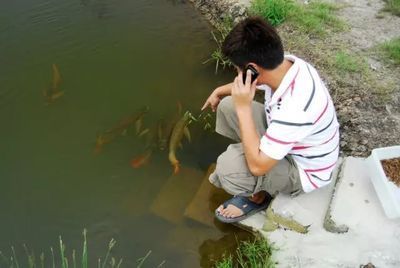 養(yǎng)龍魚底層配啥魚：養(yǎng)龍魚時(shí)選擇合適的配魚是非常重要的一步合理的配魚 養(yǎng)龍魚底層配啥魚：養(yǎng)龍魚時(shí)選擇合適的配魚是非常重要的一步合理的配魚 龍魚百科 第3張