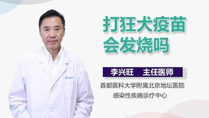 小孩被龍魚咬了超過24小時沒打疫苗（被龍魚咬后應盡快接種狂犬疫苗）