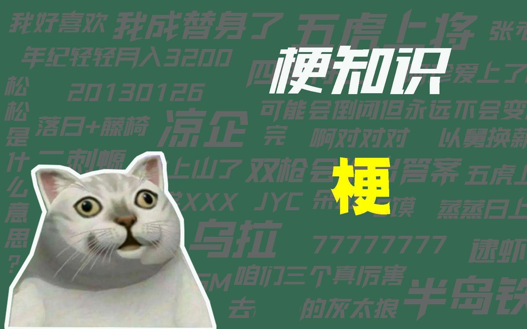 這個梗如何影響龍魚飼養文化？