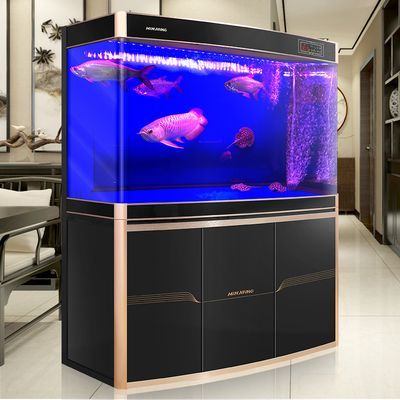 金龍魚黑缸養還是白缸養比較好：關于金龍魚養殖的問題