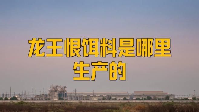 龍王恨餌料廠家地址