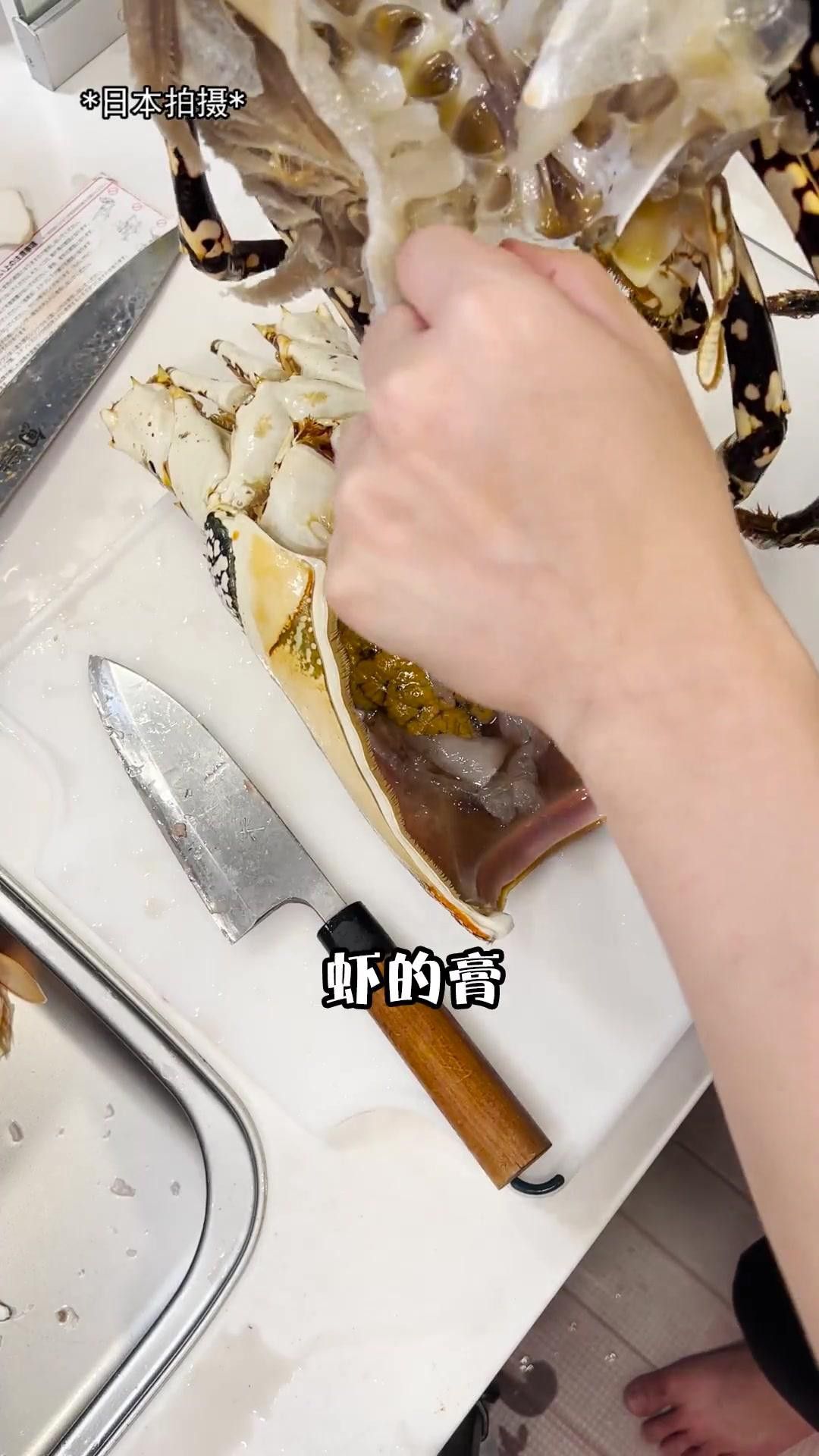 哪里可以找到高清的龍蝦圖片？