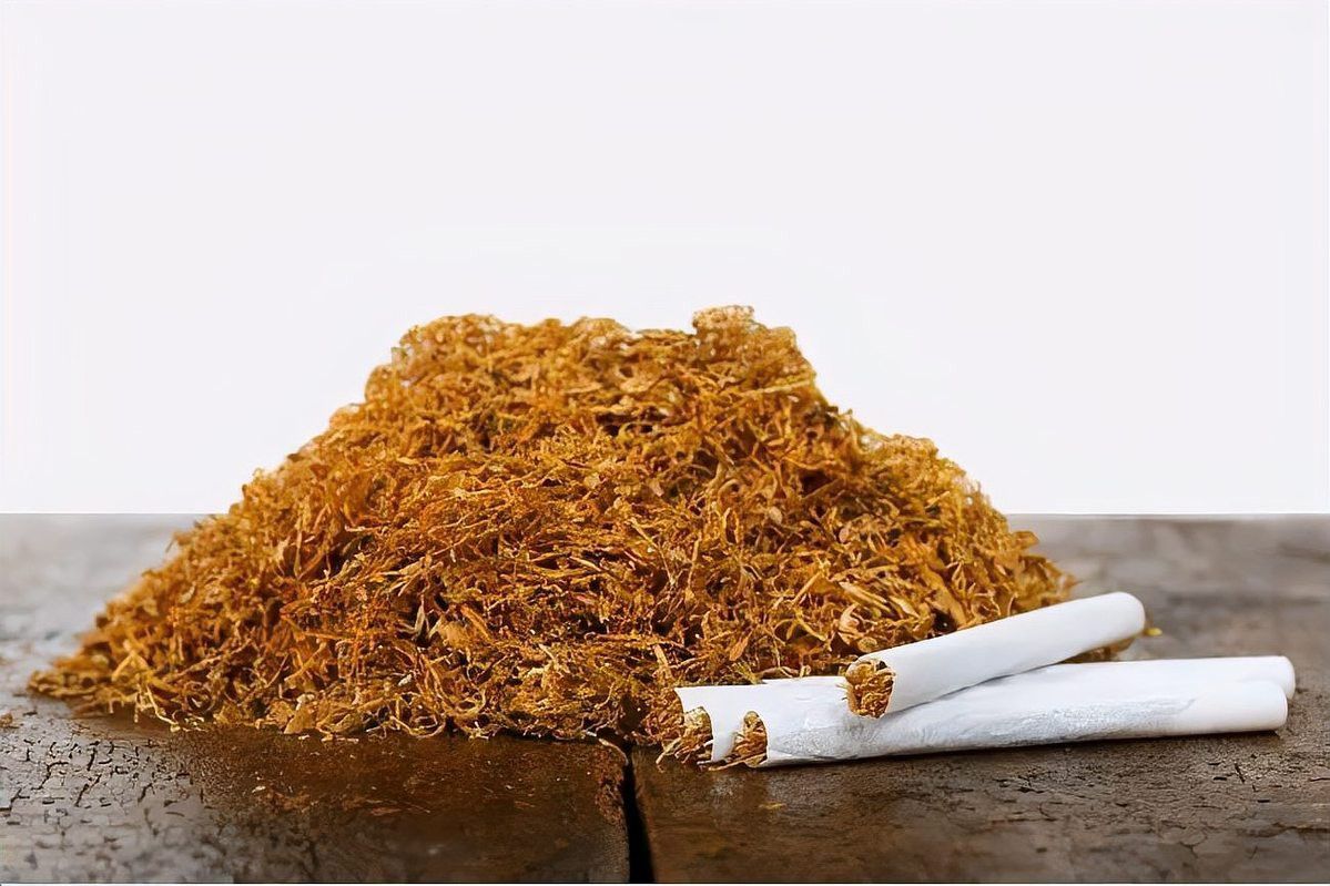 紅色真龍硬盒和軟盒有何區別？
