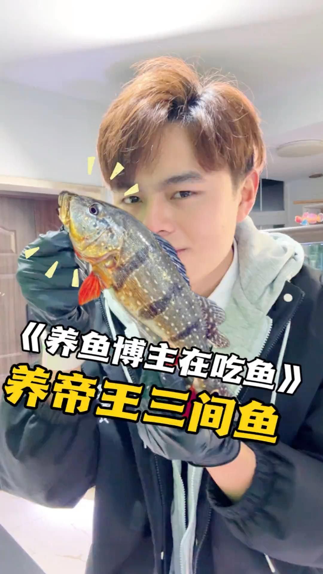 帝王三間魚和龍魚哪個更好養(yǎng)？