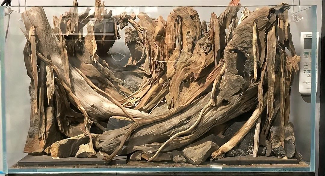 龍魚缸沉木造景圖