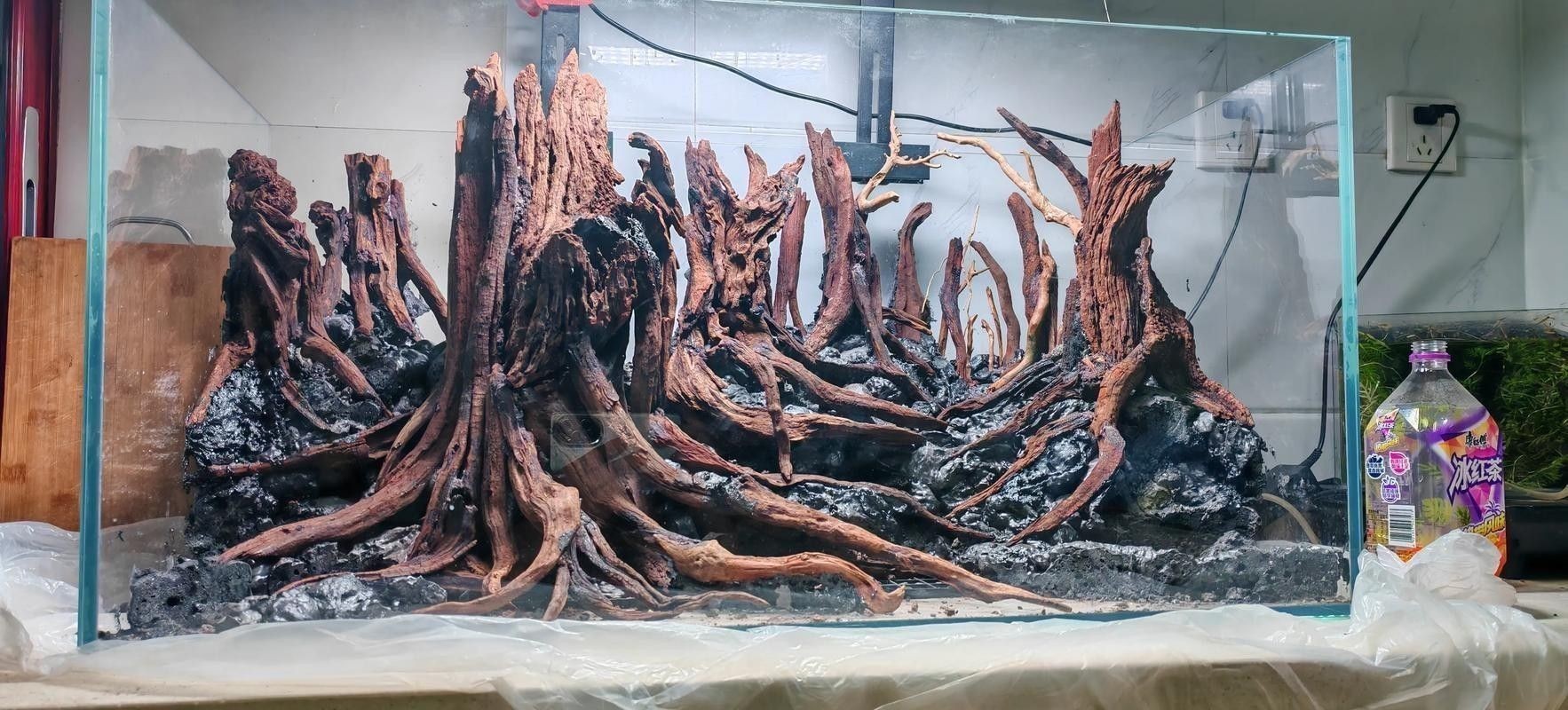 龍魚缸沉木造景圖