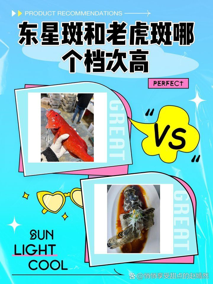 老虎斑和東星斑哪個貴